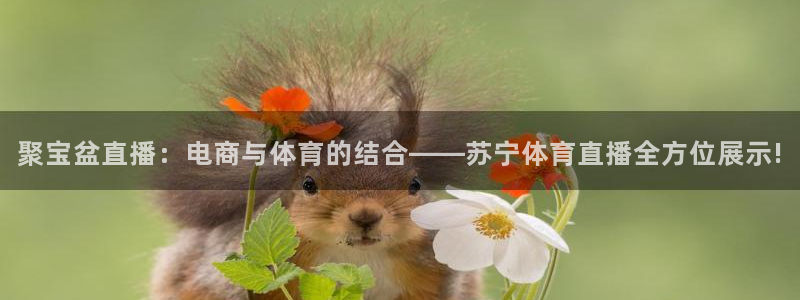 聚宝盆直播：电商与体育的结合——苏宁体育直播全方位展示!