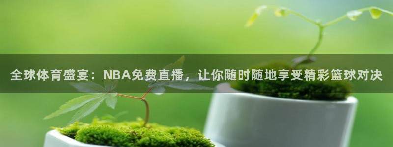 全球体育盛宴：NBA免费直播，让你随时随地享受精彩篮球对决