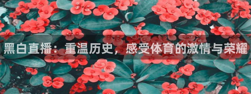 黑白直播：重温历史，感受体育的激情与荣耀