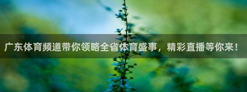 广东体育频道带你领略全省体育盛事，精彩直播等你来！
