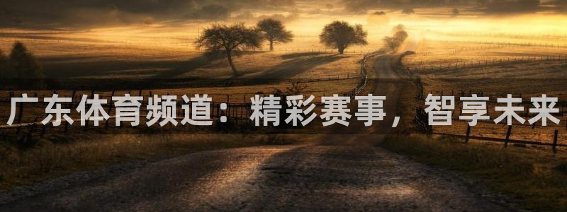 广东体育频道：精彩赛事，智享未来