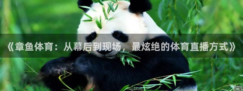 《章鱼体育：从幕后到现场，最炫绝的体育直播方式》