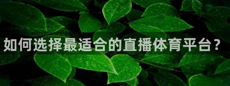 如何选择最适合的直播体育平台？