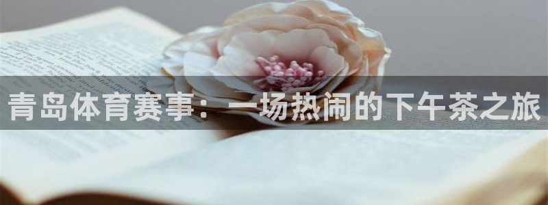 青岛体育赛事：一场热闹的下午茶之旅