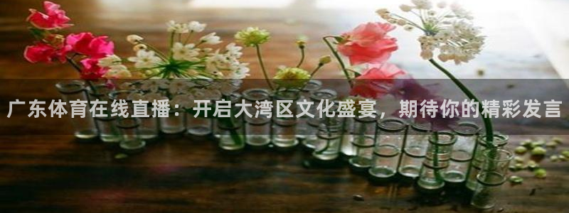 广东体育在线直播：开启大湾区文化盛宴，期待你的精彩发言