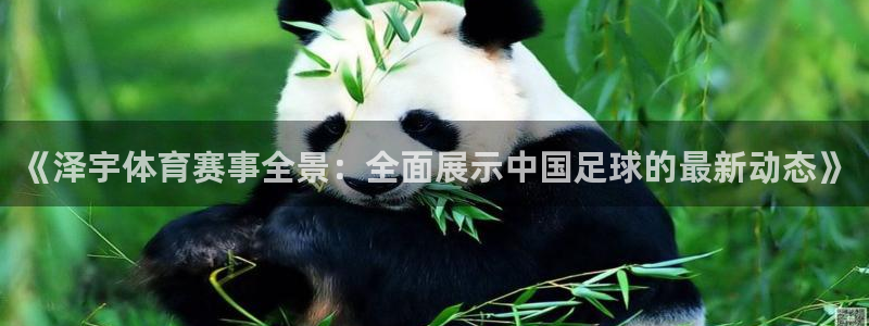 《泽宇体育赛事全景：全面展示中国足球的最新动态》