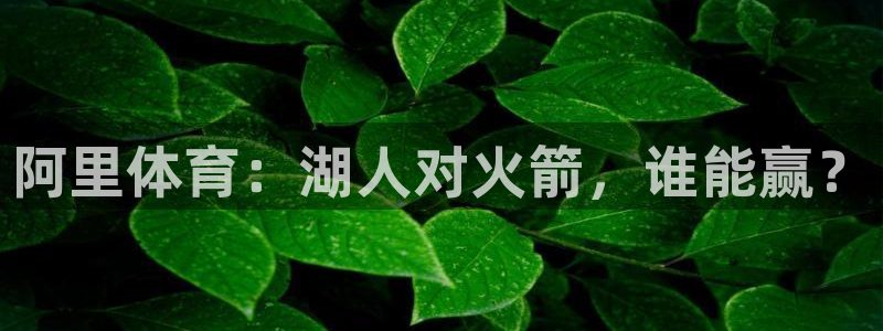 阿里体育：湖人对火箭，谁能赢？
