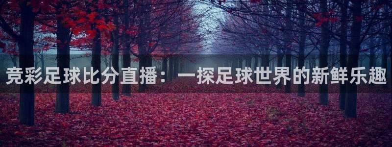 竞彩足球比分直播：一探足球世界的新鲜乐趣