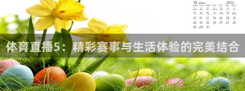 体育直播5：精彩赛事与生活体验的完美结合