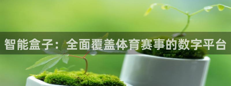 智能盒子：全面覆盖体育赛事的数字平台