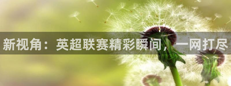 新视角：英超联赛精彩瞬间，一网打尽