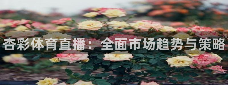 杏彩体育直播：全面市场趋势与策略