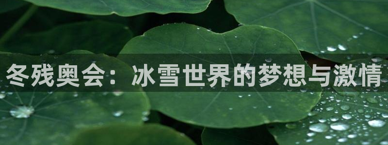 冬残奥会：冰雪世界的梦想与激情