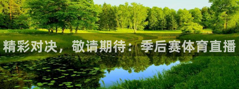 精彩对决，敬请期待：季后赛体育直播