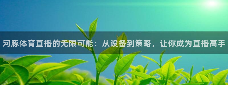河豚体育直播的无限可能：从设备到策略，让你成为直播高手