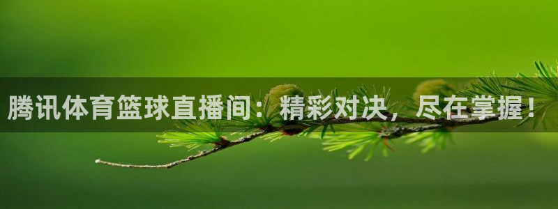 腾讯体育篮球直播间：精彩对决，尽在掌握！