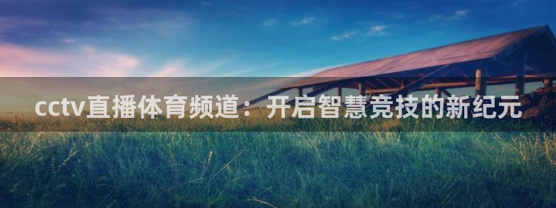 cctv直播体育频道：开启智慧竞技的新纪元