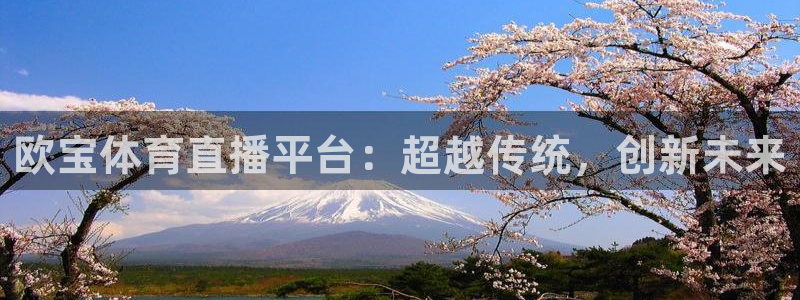 欧宝体育直播平台：超越传统，创新未来