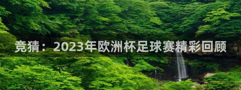 竞猜：2023年欧洲杯足球赛精彩回顾
