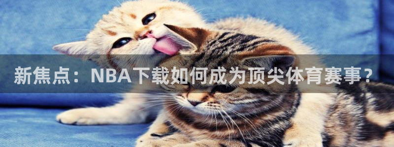 新焦点：NBA下载如何成为顶尖体育赛事？